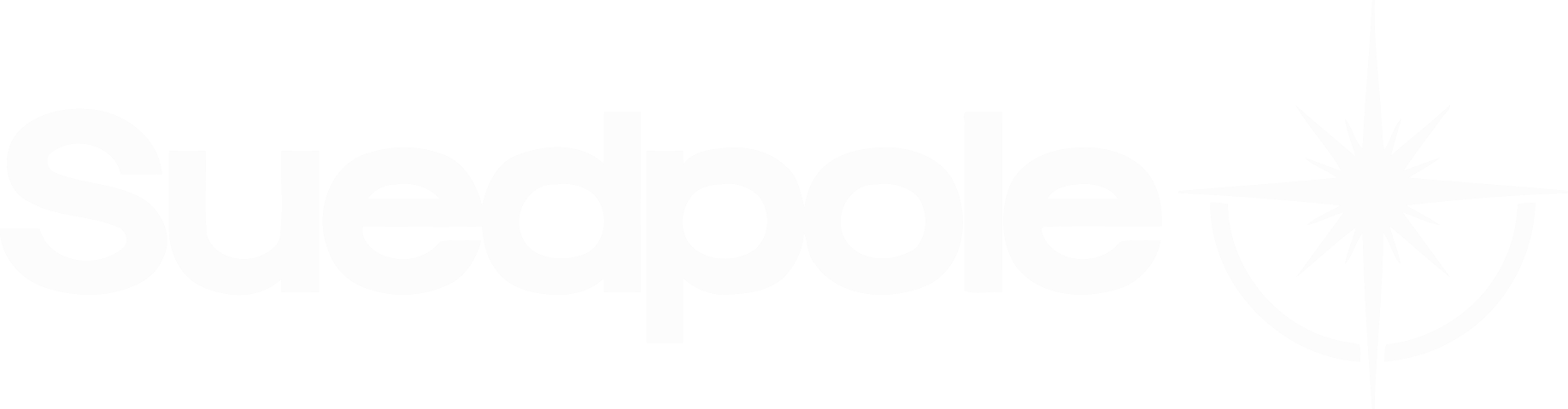 Suedpole Logo – Premium Outdoor Bekleidung