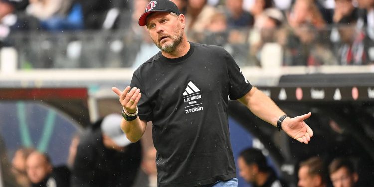 dfb-ermittelt-gegen-union-trainer-baumgart