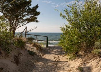 urlaub-an-der-ostsee:-usedoms-wilde-schwester