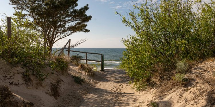 urlaub-an-der-ostsee:-usedoms-wilde-schwester