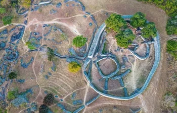 amit-levins-„black-history“:-es-gab-ein-afrika-vor-der-kolonisierung