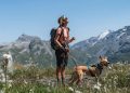 schweiz:-weitwandern-mit-hund