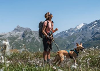 schweiz:-weitwandern-mit-hund