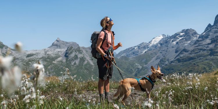 schweiz:-weitwandern-mit-hund