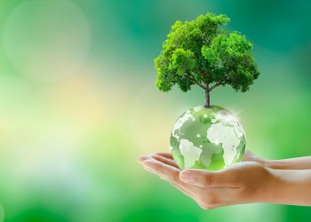 gruenes-licht:-eu-genehmigung-als-grundlage-fuer-trendfortsetzung-–-us-fantasie-on-top