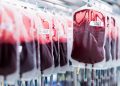 wie-japanische-forscher-kuenstliches-blut-entwickeln