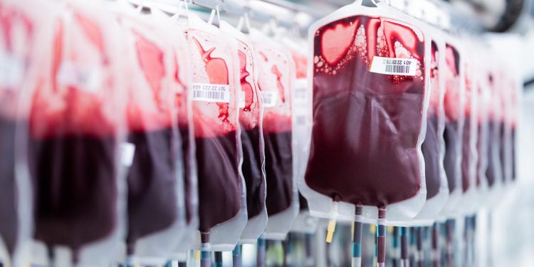 wie-japanische-forscher-kuenstliches-blut-entwickeln