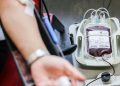blutspendetag:-blutspenden-kann-auch-dem-spender-nuetzen