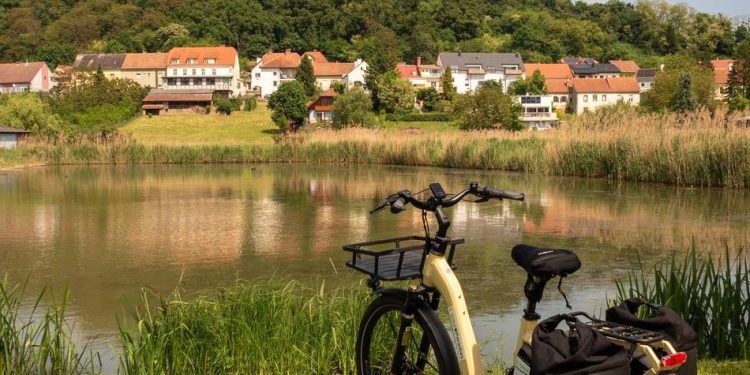 radreise-in-oesterreichs-osten:-auf-dem-rad-ohne-gegenverkehr:-im-sattel-durchs-burgenland