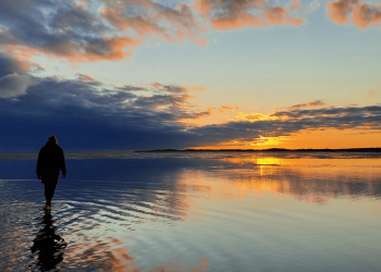 wattwandern:-ein-gefuehl-von-unendlichkeit