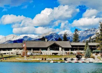 kanada:-bei-den-metis-und-ihren-weissen-bisons