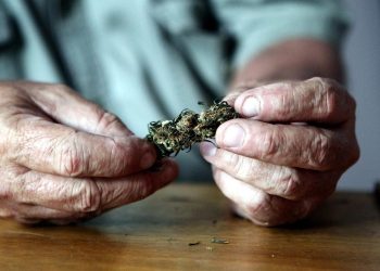 warum-cannabis-bei-senioren-beliebter-wird