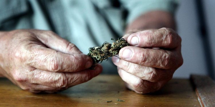 warum-cannabis-bei-senioren-beliebter-wird