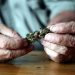 warum-cannabis-bei-senioren-beliebter-wird