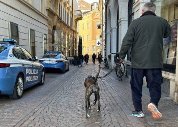 so-viel-kostet-es:-beliebte-urlaubsregion-verlangt-fuer-hunde-kuenftig-„kur-taxe“