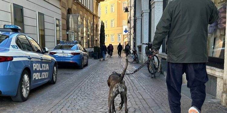 so-viel-kostet-es:-beliebte-urlaubsregion-verlangt-fuer-hunde-kuenftig-„kur-taxe“