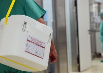 bundeslaender-wollen-widerspruchsloesung-bei-organspende-durchsetzen