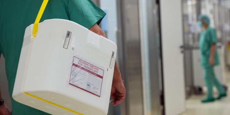 bundeslaender-wollen-widerspruchsloesung-bei-organspende-durchsetzen