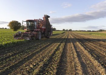 agrarministerkonferenz:-wie-geht-es-weiter-mit-den-foerdermitteln?