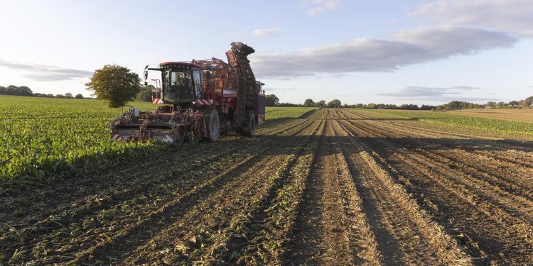 agrarministerkonferenz:-wie-geht-es-weiter-mit-den-foerdermitteln?