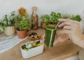institut-fuer-longevity:-lebensmittel-fuer-ein-langes-leben