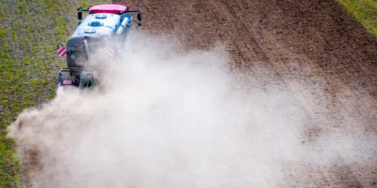 folgen-der-landwirtschaft:-duenger-koennte-pollen-aggressiver-machen