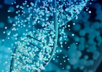 ein-nachschlagewerk-fuer-den-menschlichen-koerper