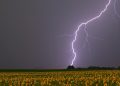 blitz-und-donner:-wie-gefaehrlich-sind-gewitter?