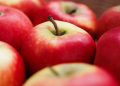 diese-neuen-apfelsorten-sind-fuer-allergiker-geeignet