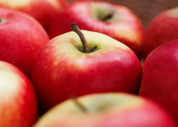 diese-neuen-apfelsorten-sind-fuer-allergiker-geeignet