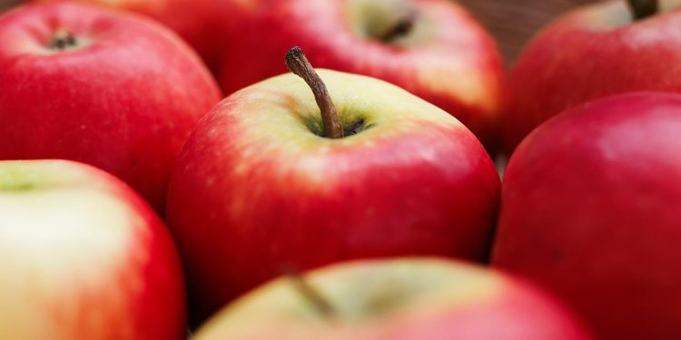diese-neuen-apfelsorten-sind-fuer-allergiker-geeignet