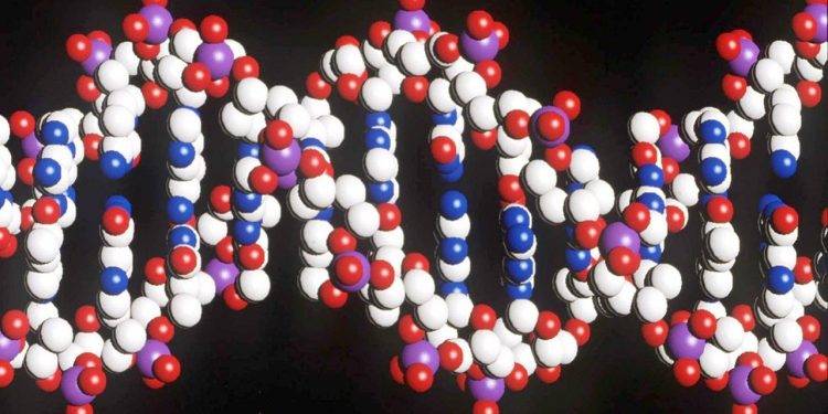 reparieren-statt-zerstoeren-–-fortschritt-in-der-gentherapie