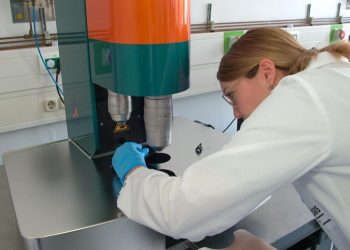 klimafreundlichkeit:-deutschlands-forschung-auf-dem-weg-zur-nachhaltigkeit