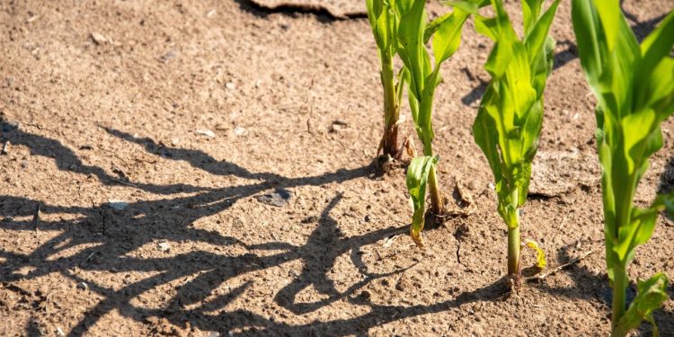 wie-trockene-boeden-und-meeresspiegel-zusammenhaengen