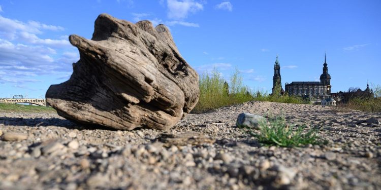 welche-folgen-hat-die-trockenheit-in-deutschland?