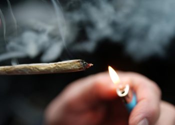 bilanz-der-teillegalisierung:-ein-jahr-cannabis-gesetz-in-deutschland