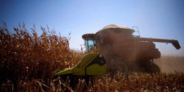 wie-eine-brasilianerin-die-landwirtschaft-veraendert