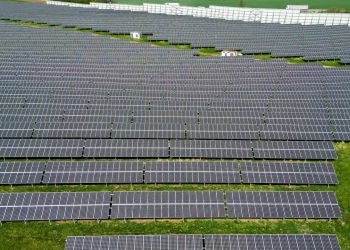 neue-studie:-solarparks-koennen-fuer-mehr-artenvielfalt-sorgen