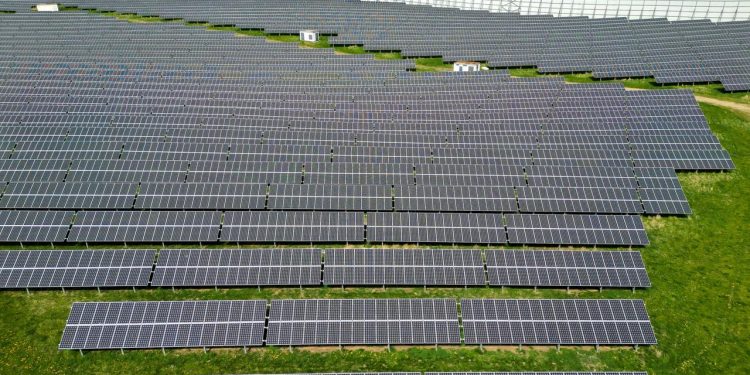 neue-studie:-solarparks-koennen-fuer-mehr-artenvielfalt-sorgen