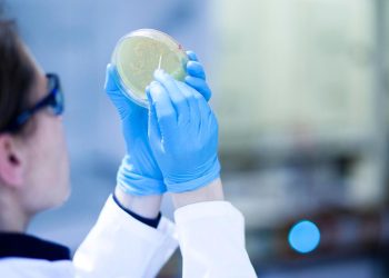 studie:-wenn-forschende-ihre-erkenntnisse-zurueckhalten