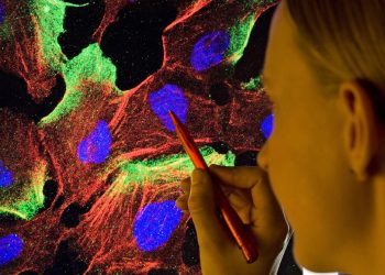 auszeichnung-fuer-die-entdeckung-der-alarmanlage-des-immunsystems