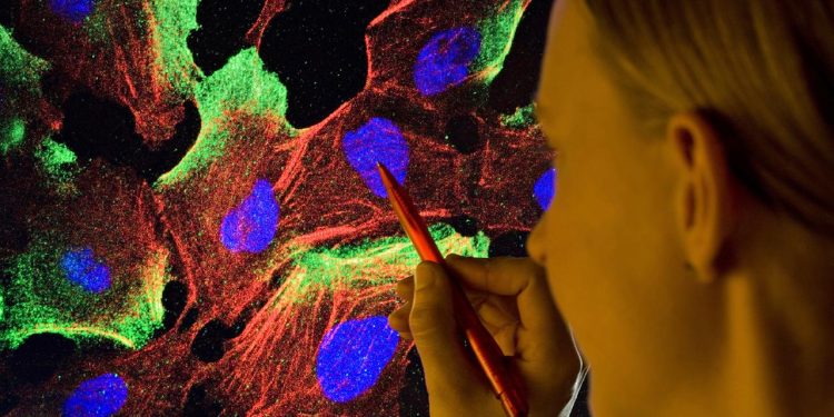 auszeichnung-fuer-die-entdeckung-der-alarmanlage-des-immunsystems