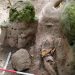 archaeologen-team-entdeckt-fast-3.000-jahre-alte-maya-staette