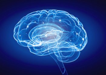 brain-prize:-wichtiger-forschungspreis-fuer-heidelberger-neurologen