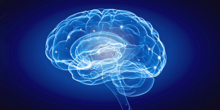 brain-prize:-wichtiger-forschungspreis-fuer-heidelberger-neurologen