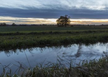 urteil:-bundesregierung-muss-mehr-gegen-nitrat-im-wasser-tun