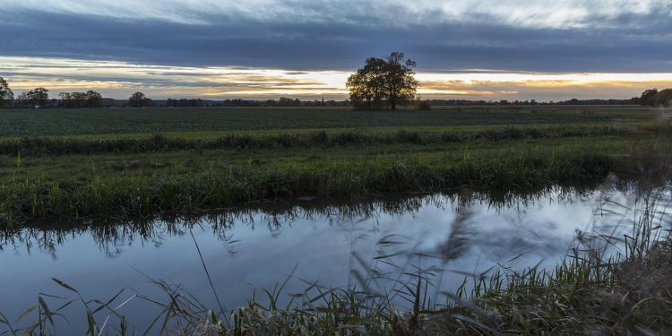 urteil:-bundesregierung-muss-mehr-gegen-nitrat-im-wasser-tun