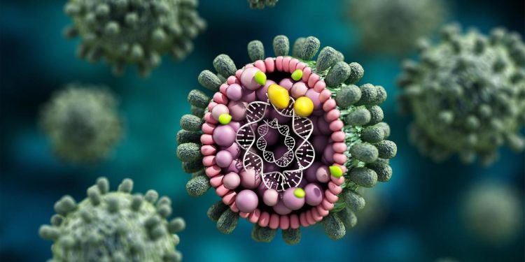 mehr-als-70.000-potenziell-neue-rna-viren-mit-ki-entdeckt