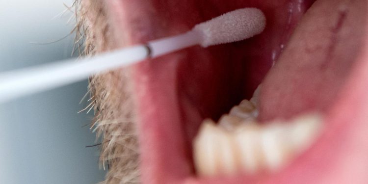 auf-verwandtschaftssuche-per-dna-test