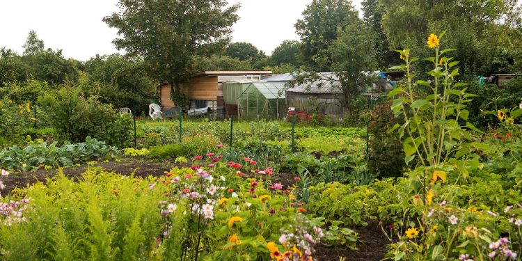 kleingaerten-helfen-dem-artenschutz